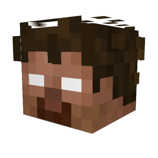 Wind0wlicker234 Minecraft avatar head, 3D render