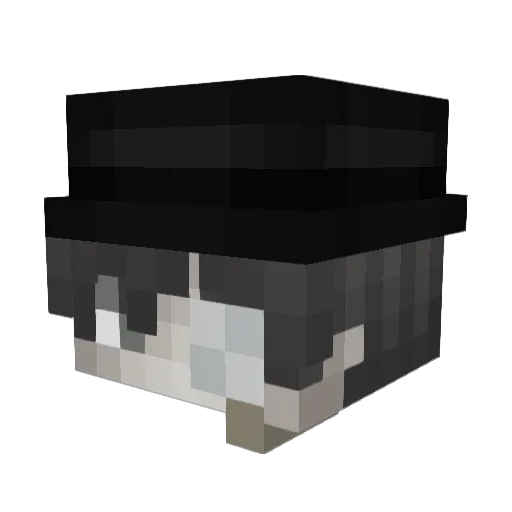 Wind123321 Minecraft avatar head, 3D render
