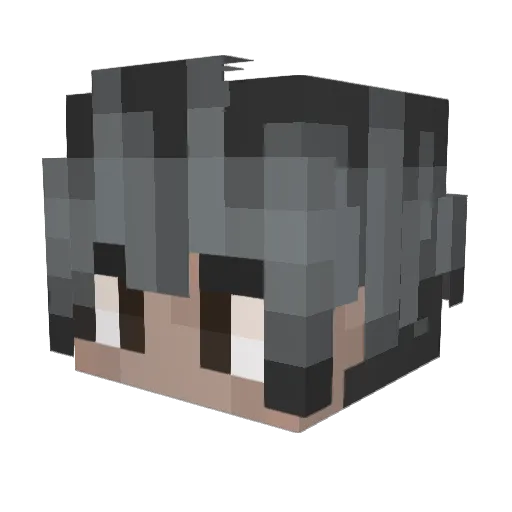 Wind30 Minecraft avatar head, 3D render