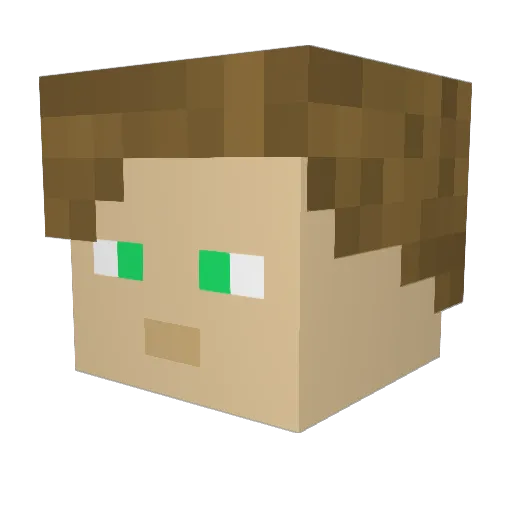 Wind5656 Minecraft avatar head, 3D render