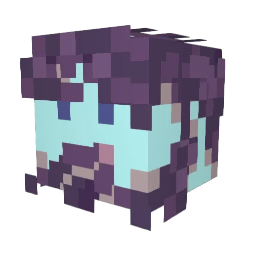 WindBrotherChad Minecraft avatar head, 3D render