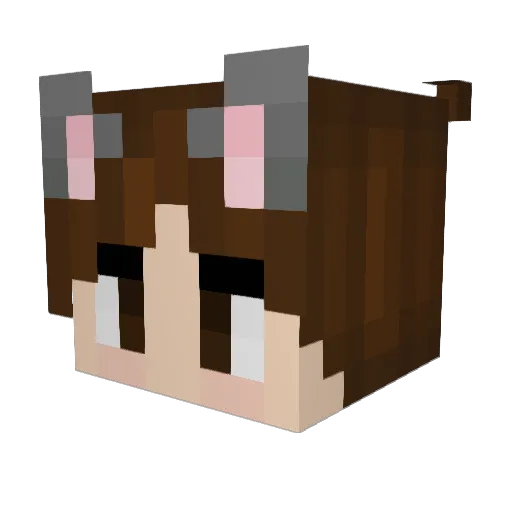 WindC16 Minecraft avatar head, 3D render