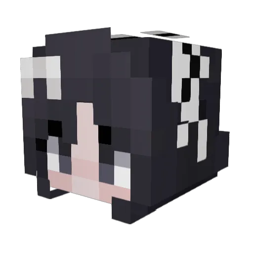 WindCallerKotiya Minecraft avatar head, 3D render