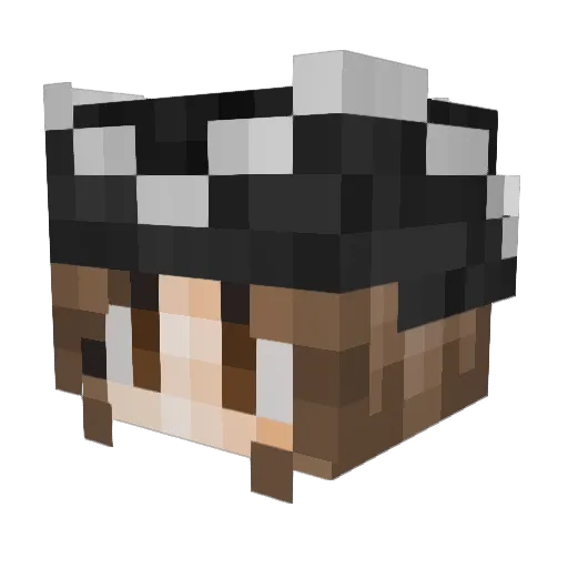 WindIsCalm Minecraft avatar head, 3D render