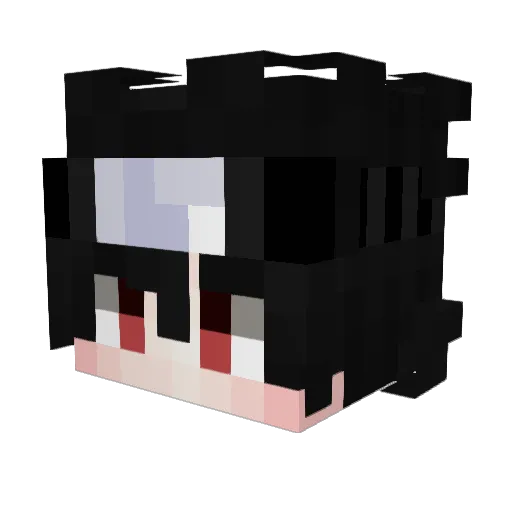 WindIsPogchamp Minecraft avatar head, 3D render