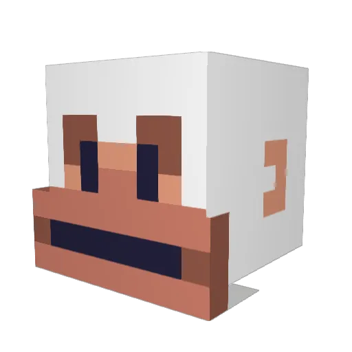 WindViking Minecraft avatar head, 3D render
