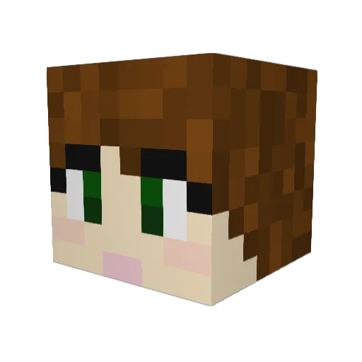 WindWaker34 Minecraft avatar head, 3D render