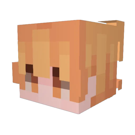 Wind_YH Minecraft avatar head, 3D render