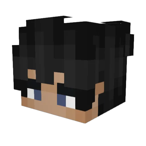 Windedgem Minecraft avatar head, 3D render