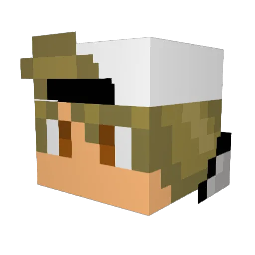Windeljoe01 Minecraft avatar head, 3D render