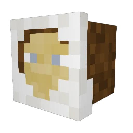 Winderix Minecraft avatar head, 3D render