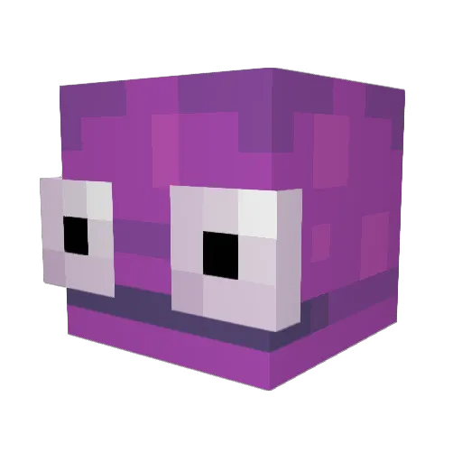 Winderstat Minecraft avatar head, 3D render