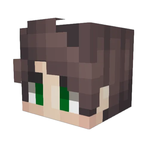WindierMirror40 Minecraft avatar head, 3D render