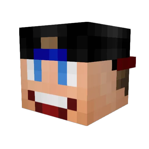 Windje Minecraft avatar head, 3D render
