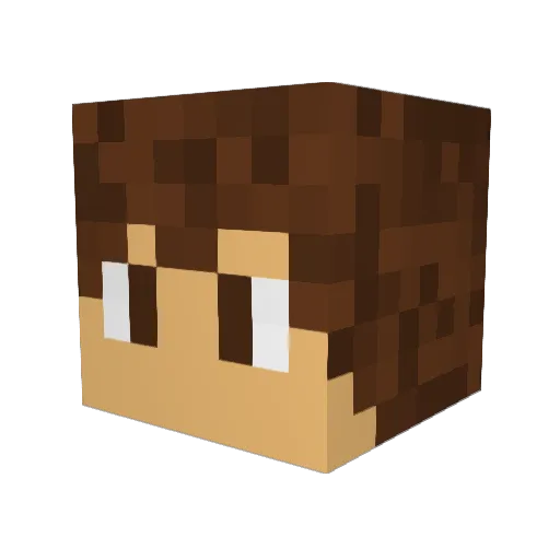 Windninja9 Minecraft avatar head, 3D render