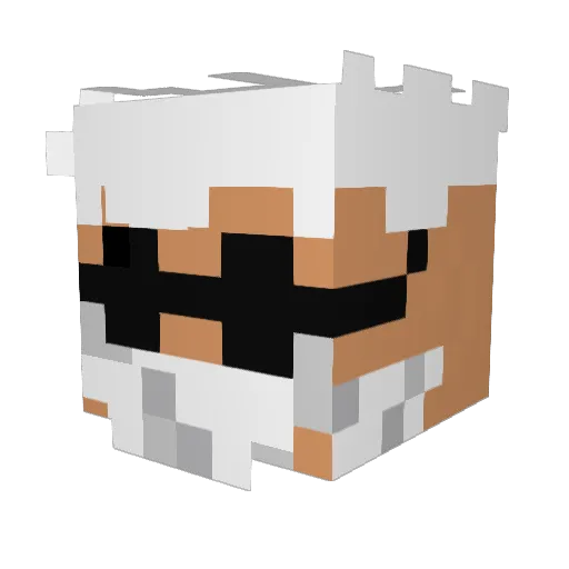 WindollNihBoss Minecraft avatar head, 3D render