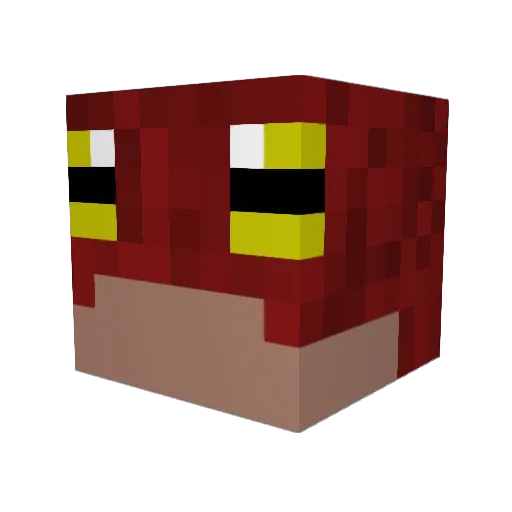 Windows_XD_ Minecraft avatar head, 3D render