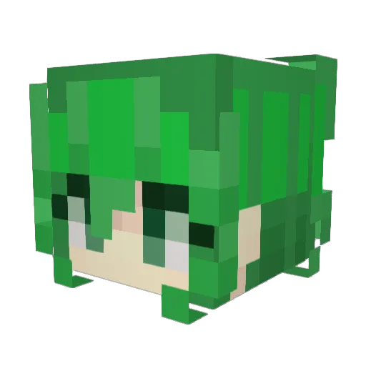 Windrider_Vixen Minecraft avatar head, 3D render