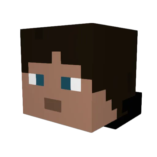 Windrunner314 Minecraft avatar head, 3D render