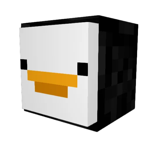 WindyBanana9 Minecraft avatar head, 3D render