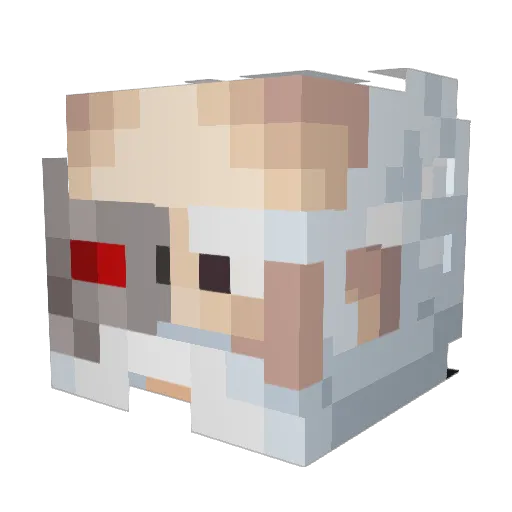 WindyGaming101 Minecraft avatar head, 3D render