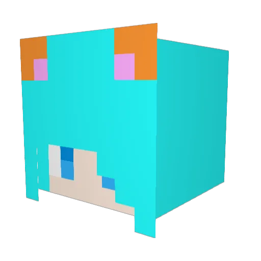 WindyVoid Minecraft avatar head, 3D render