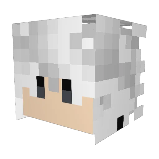 WindzyMC Minecraft avatar head, 3D render