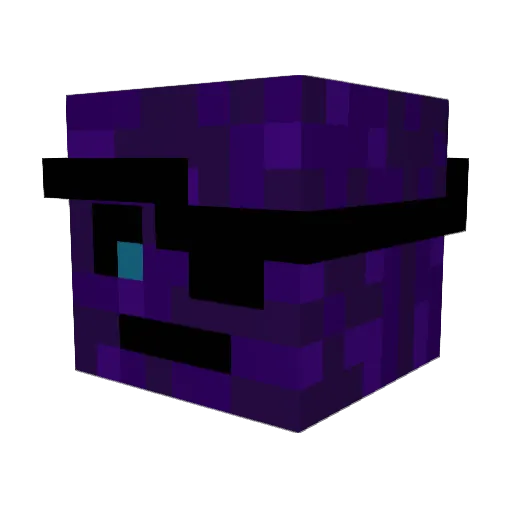 WingMaster_ Minecraft avatar head, 3D render