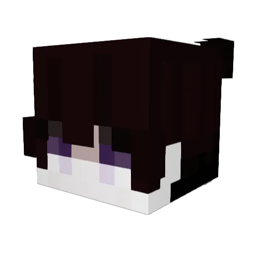 Winged_Food_YT Minecraft avatar head, 3D render