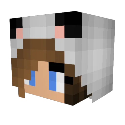 Winged_Kuriboh_ Minecraft avatar head, 3D render