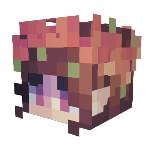 Winged_Valkyrie Minecraft avatar head, 3D render