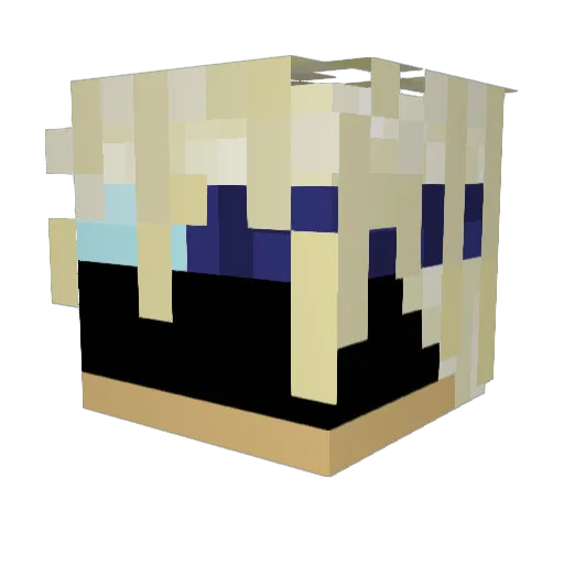 Wingfoil Minecraft avatar head, 3D render