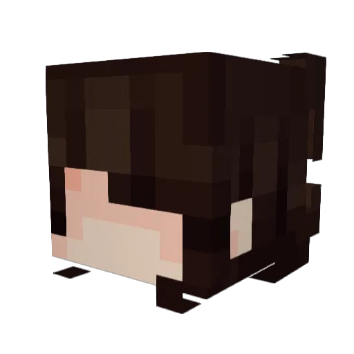 Winggii Minecraft avatar head, 3D render