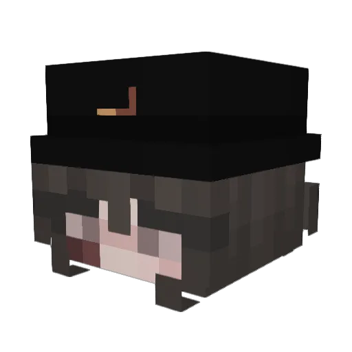 Winghaven96 Minecraft avatar head, 3D render