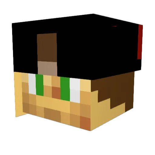 WingitAri Minecraft avatar head, 3D render