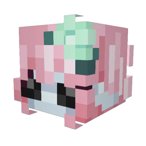 WinglessRin Minecraft avatar head, 3D render