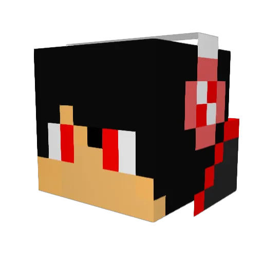 Wingman023 Minecraft avatar head, 3D render