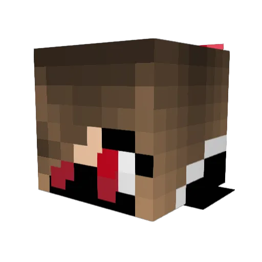 Wingman211 Minecraft avatar head, 3D render