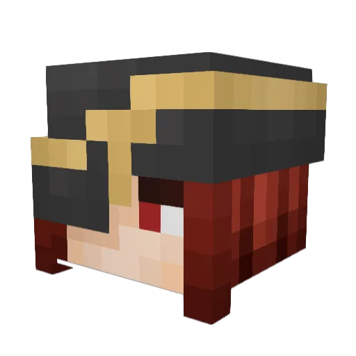 Wingnut_Jr Minecraft avatar head, 3D render