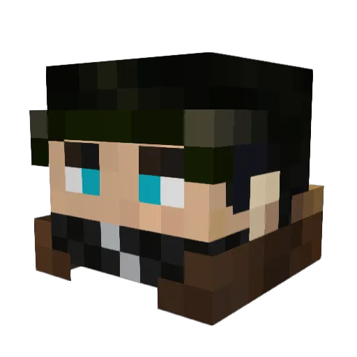 Wingo55 Minecraft avatar head, 3D render
