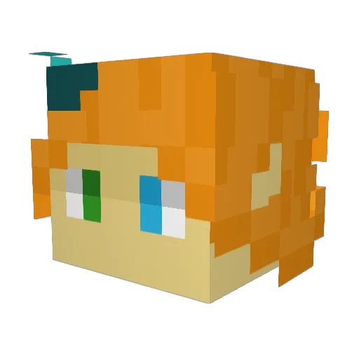 Wingwinter Minecraft avatar head, 3D render
