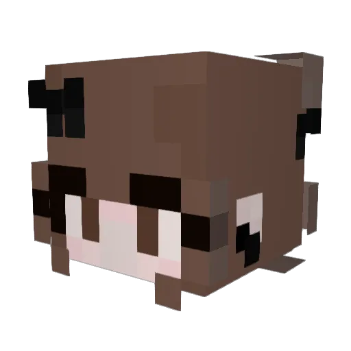 Wini1927 Minecraft avatar head, 3D render