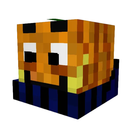 Winiepuu Minecraft avatar head, 3D render