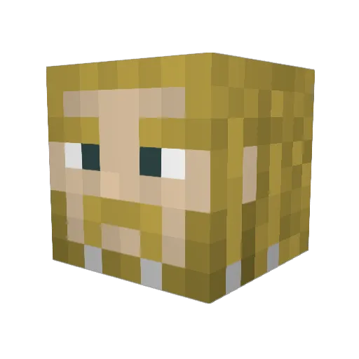 Winiston Minecraft avatar head, 3D render