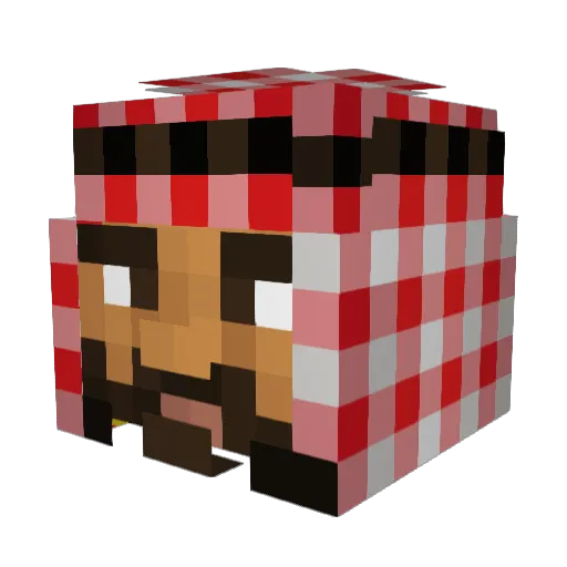 Winkel Minecraft avatar head, 3D render