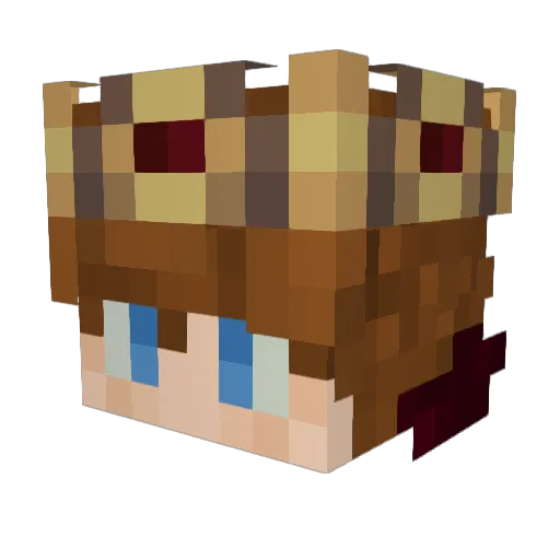 Minecraft-Avatar von WinkyNL: Kopf als 3D-Render