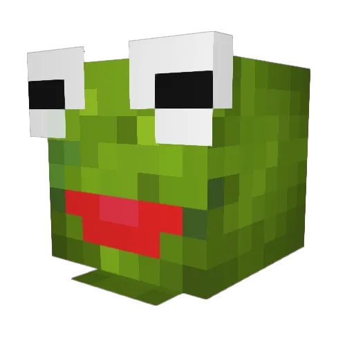 Winky_Wink Minecraft avatar head, 3D render