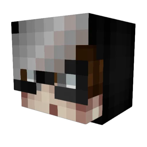 WinnAuro Minecraft avatar head, 3D render