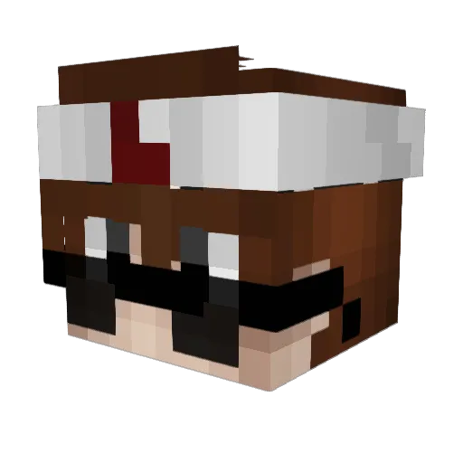 WinnSolegit Minecraft avatar head, 3D render