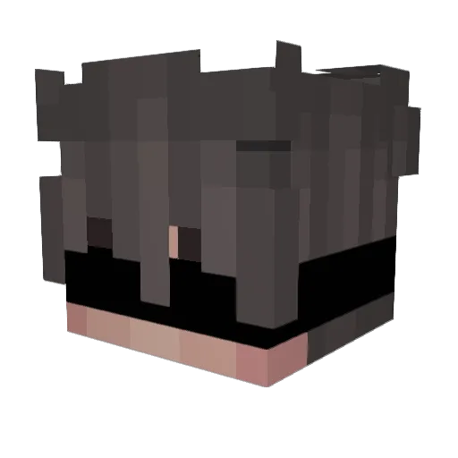 Winnds Minecraft avatar head, 3D render